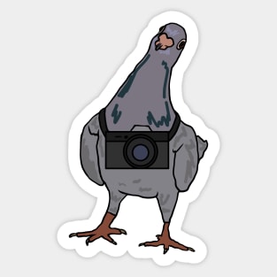 Pigeon's Always Watching Sticker